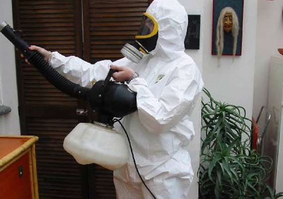 Équipe d’experts en dératisation et désinsectisation près de Fillinges
