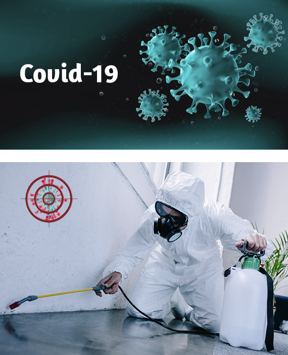 Covid-19